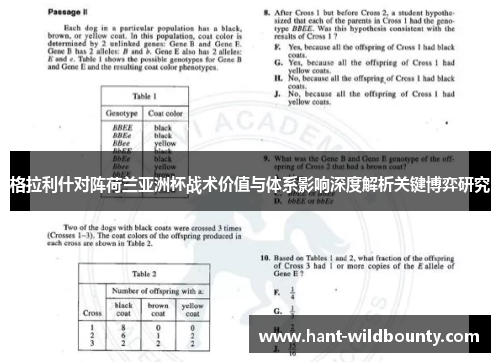 格拉利什对阵荷兰亚洲杯战术价值与体系影响深度解析关键博弈研究