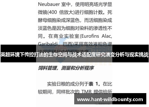 英超环境下传控打法的生存空间与战术适配度研究演变分析与现实挑战