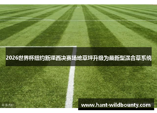 2026世界杯纽约新泽西决赛场地草坪升级为最新型混合草系统 2026世界杯纽约新泽西决赛场地草坪升级为最新型混合草系统