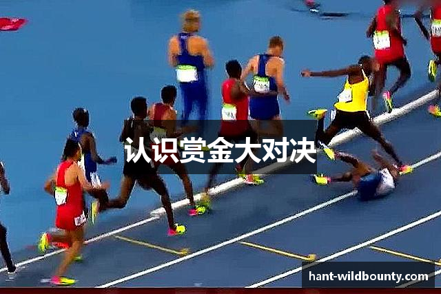 认识赏金大对决